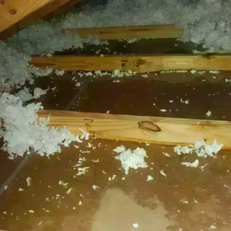 Attic Water Damage in Waverly, NE