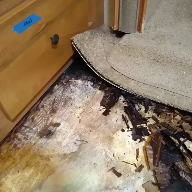 Wood Floor Water Damage in Waverly, NE